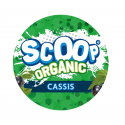 Sirop BIO Cassis