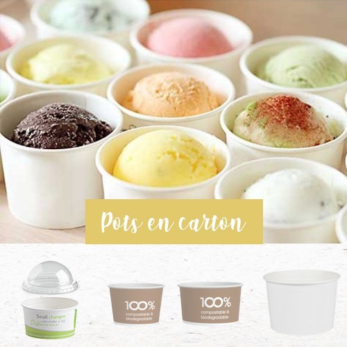 Pots en carton